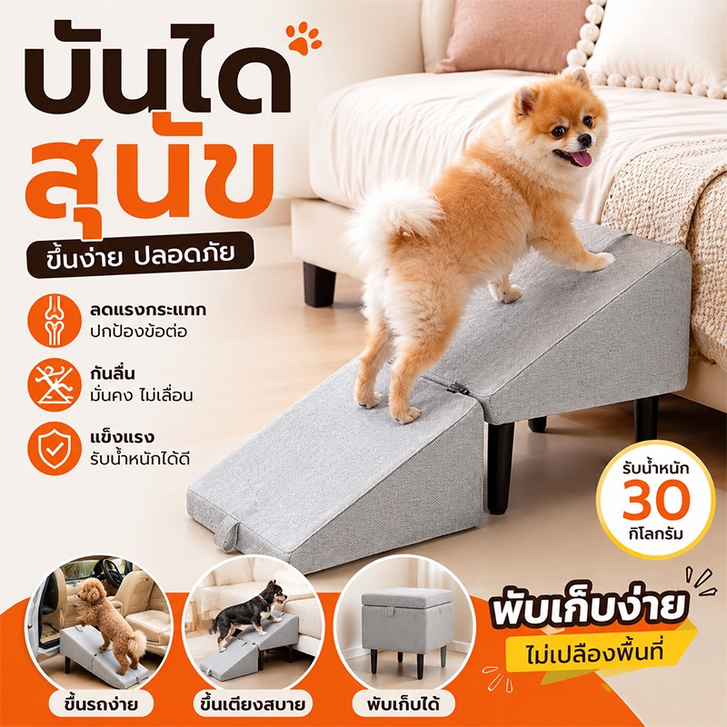 🔥【พร้อมส่ง】บันไดสุนัข Ramp 2in1 ไม้HomeStep พับได้ กันลื่น ใช้เป็นที่พักเท้าหรือนั่งได้ จัดส่งฟรี ของแท้คุ้มค่า