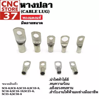 หางปลาทองแดงชุบดีบุก SC ทรงยุโรป หางปลาขอบตัด SC6-6,SC6-8,SC10-6,SC10-8,SC 16-6,SC16-10,SC25-6,SC35-8,SC50-8 (1 ชิ้น)