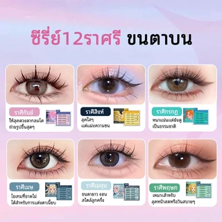 【ขนตาล่าง】OMAขนตาล่างกาวในตัว มีให้เลือกครบจบทุกสไตล์ ทรง เบา สบาย ไม่โป๊ะ สวยเป็นธรรมชาติ