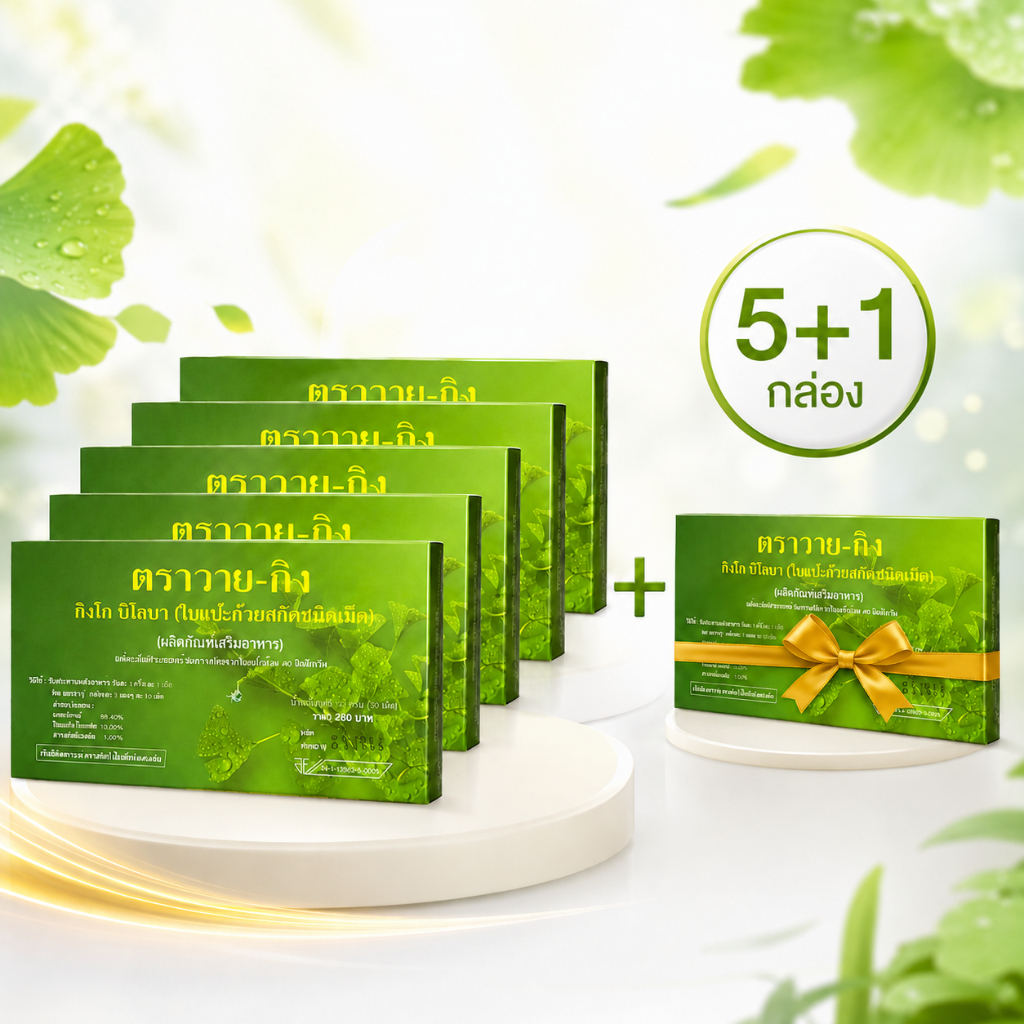 Y-Gink ราคาขายส่ง💥 ซื้อ 5 กล่อง แถมฟรี 1 กล่อง ในราคาส่ง! [รวม 6 กล่อง] สารสกัดแปะก๊วย 30 แคปซูลต่อกล่อง