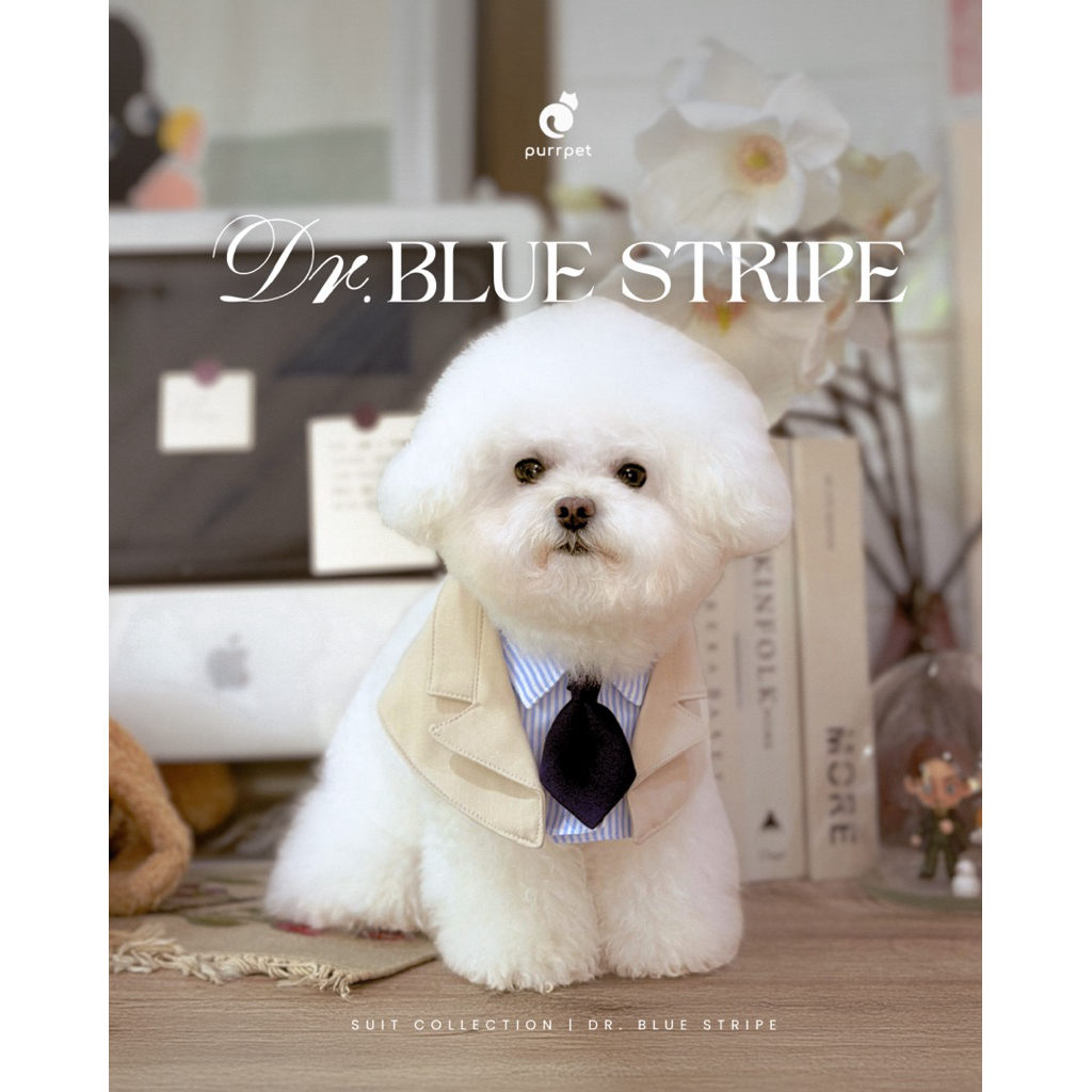 Dr. Blue Stripe Collection - Purrpet