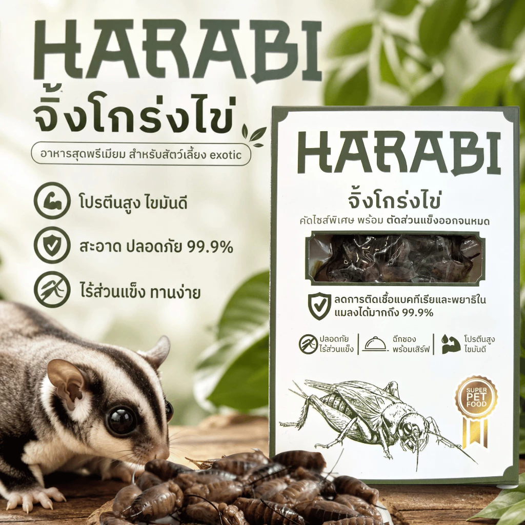 จิ้งโกร่งไข่ HARABI ตัดสวนที่แข็งออกหมดปลอดเชื้อโรคไร้พยาธิ อาหารสำหรับสัตว์เล็ก Exotic pet ขนาด 50 กรัม แมลง จิ้งโกร่ง