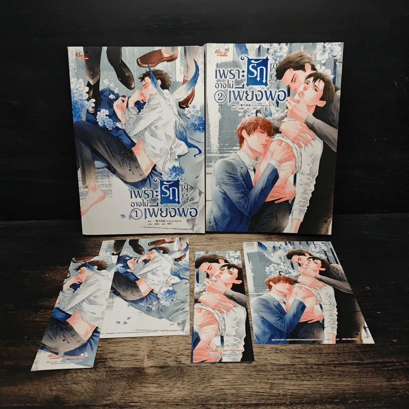 เพราะรักอาจไม่เพียงพอ 2 เล่มจบ - Yi Yan Bu Cheng Xia 🏷️1182480