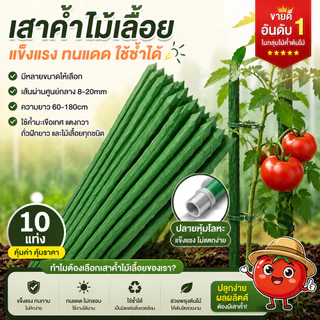 ไม้ค้ำต้นไม้ยาว 60 - 180ซม. วัสดุทำจากเหล็ก เคลือบพลาสติกสีเขียวที่ทนทานต่อการใช้งานและไม่เป็นสนิม