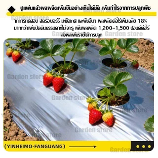 🌱พลาสติกคลุมดิน 1ม.x400หลา(360ม) ผ้ายางคลุมดิน เจาะรูเดี่ยว 1แถว ผ้ายางคลุมวัชพืช ผ้ายางคลุมแปลงผัก