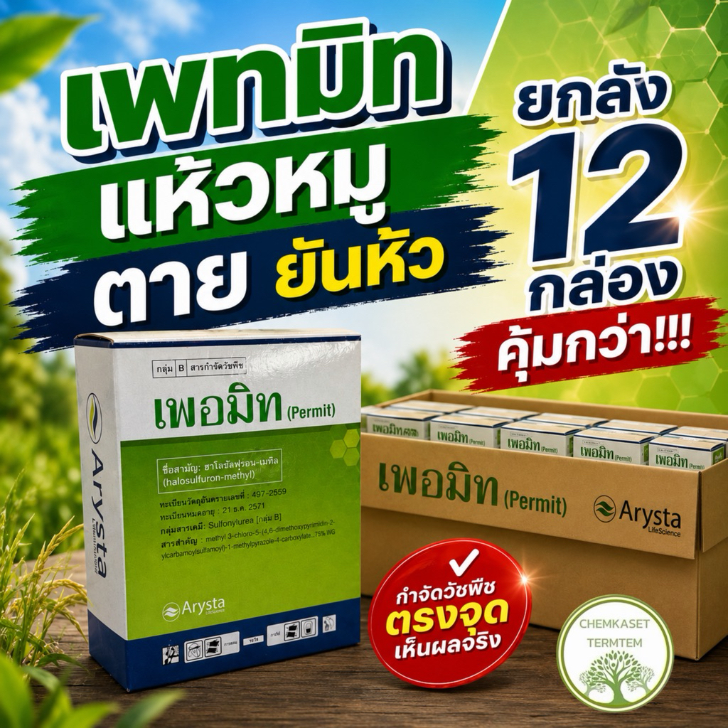 (ยกลัง*12)เพอมิท กำจัดแห้วหมู 4 กรัมx6ซอง 24 กรัม ใช้งานง่ายและปลอดภัย ฮาโลซัลฟูรอน-เมทิล