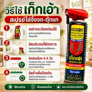 สเปรย์ไล่จิ้งจก กำจัดจิ้งจก ไล่จิ้งจก ตุ๊กแก