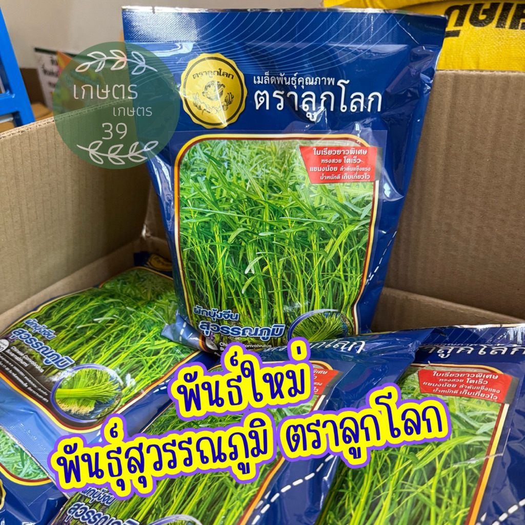 เมล็ดผักบุ้งพันธุ์ตะเกียบดำ ตราลูกโลก 1กิโลกรัม ใบไผ่