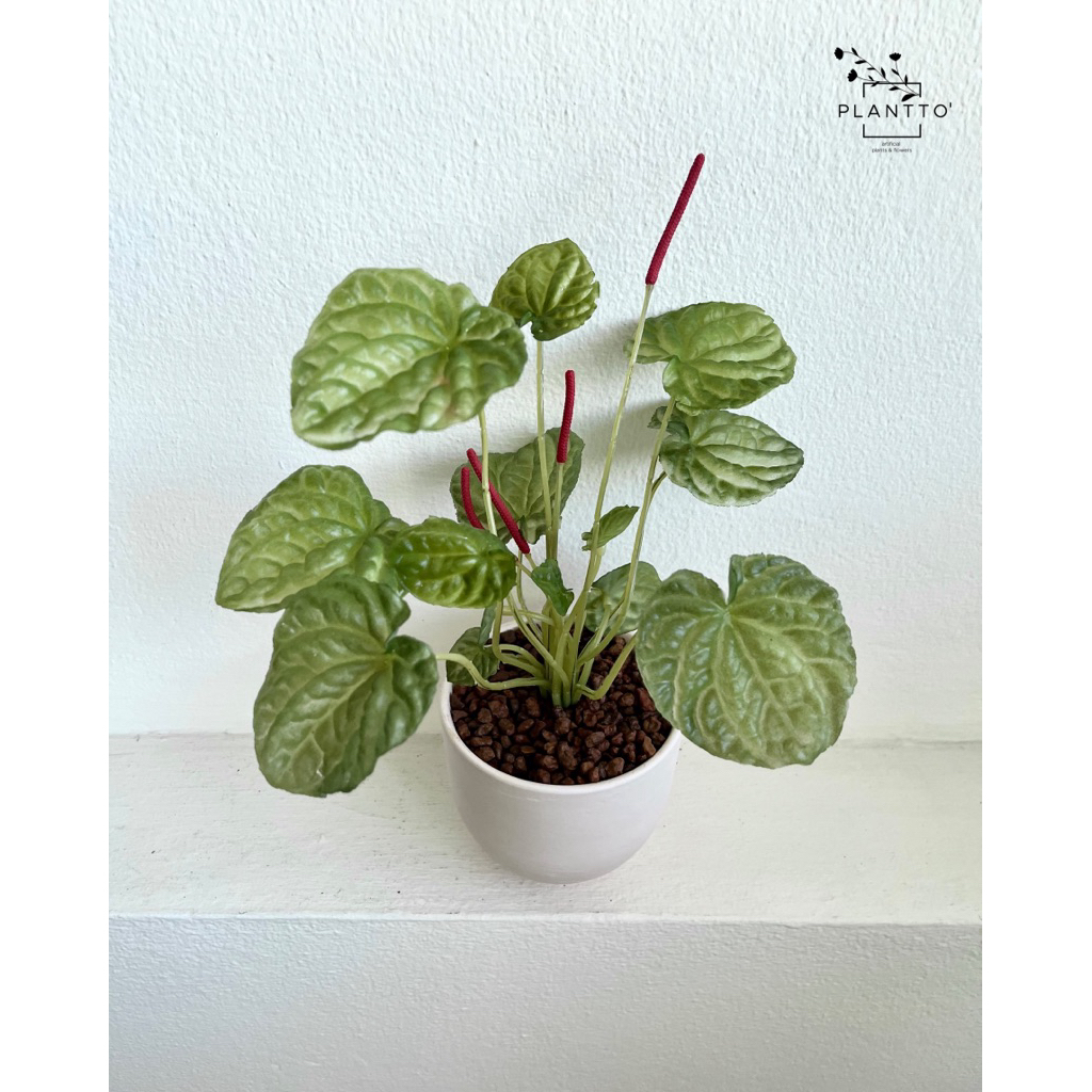 ต้นไม้ปลอม เปปเปอร์โรเมียหน้าย่น กว้าง 10 สูง 20 cm