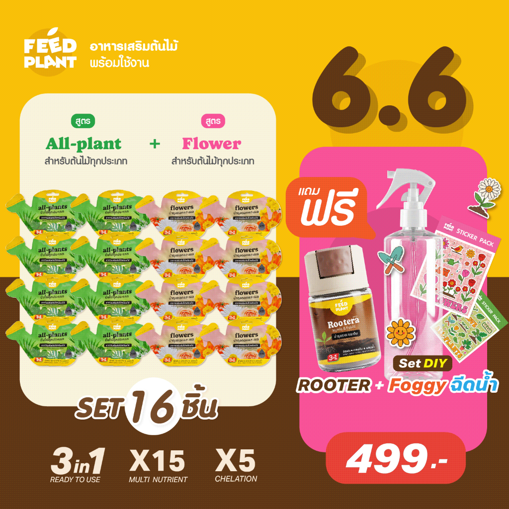 FEED PLANT สูตร All-Plants/ Flowers เซ็ตอาหารเสริมบํารุง ไม้ดอก+ไม้ใบ (เซ็ต 16 ชิ้น)