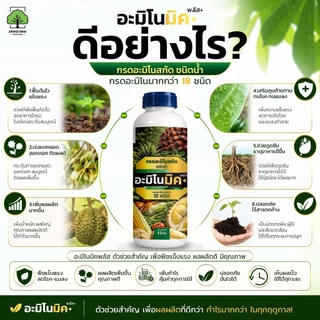 อะมิโนมิคพลัสตราเทพมงคล ขวด 1L แพ็ค 2 ขวด อาหารเสริมพืชทางใบชนิดน้ำ เร่งบำรุงพืชทุกชนิด สูตรออแกนิก