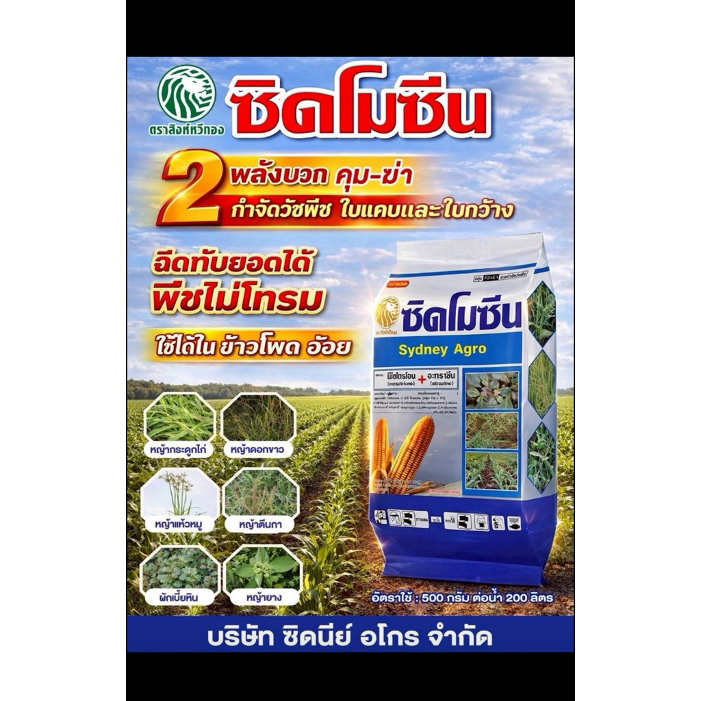 ซิดโมซีน สาร มีไตรโซน+อะทราซีน ออกฤทธิ์คุมและฆ่า สามารถฉีดทับอ้อยและข้าวโพดได้