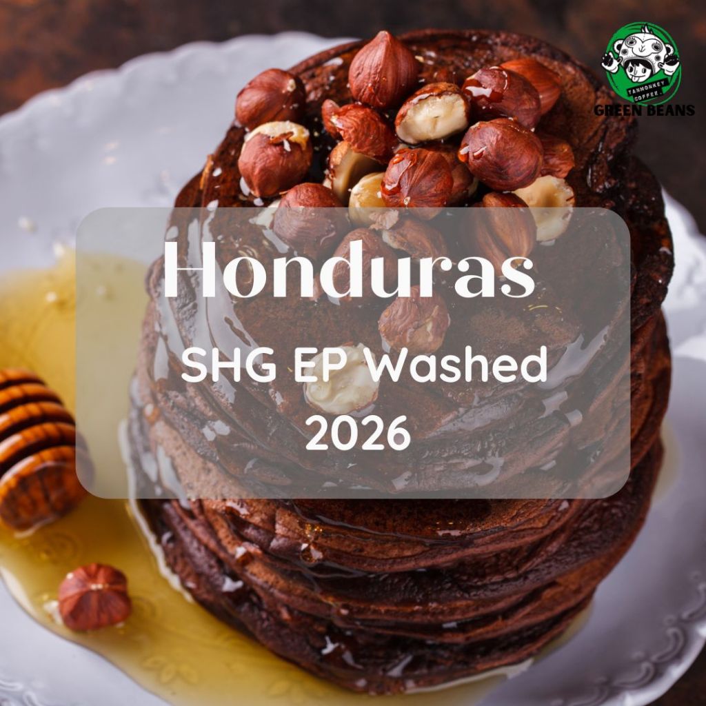 New Lot ! สารเมล็ดกาแฟ Honduras SHG EP washed 2026