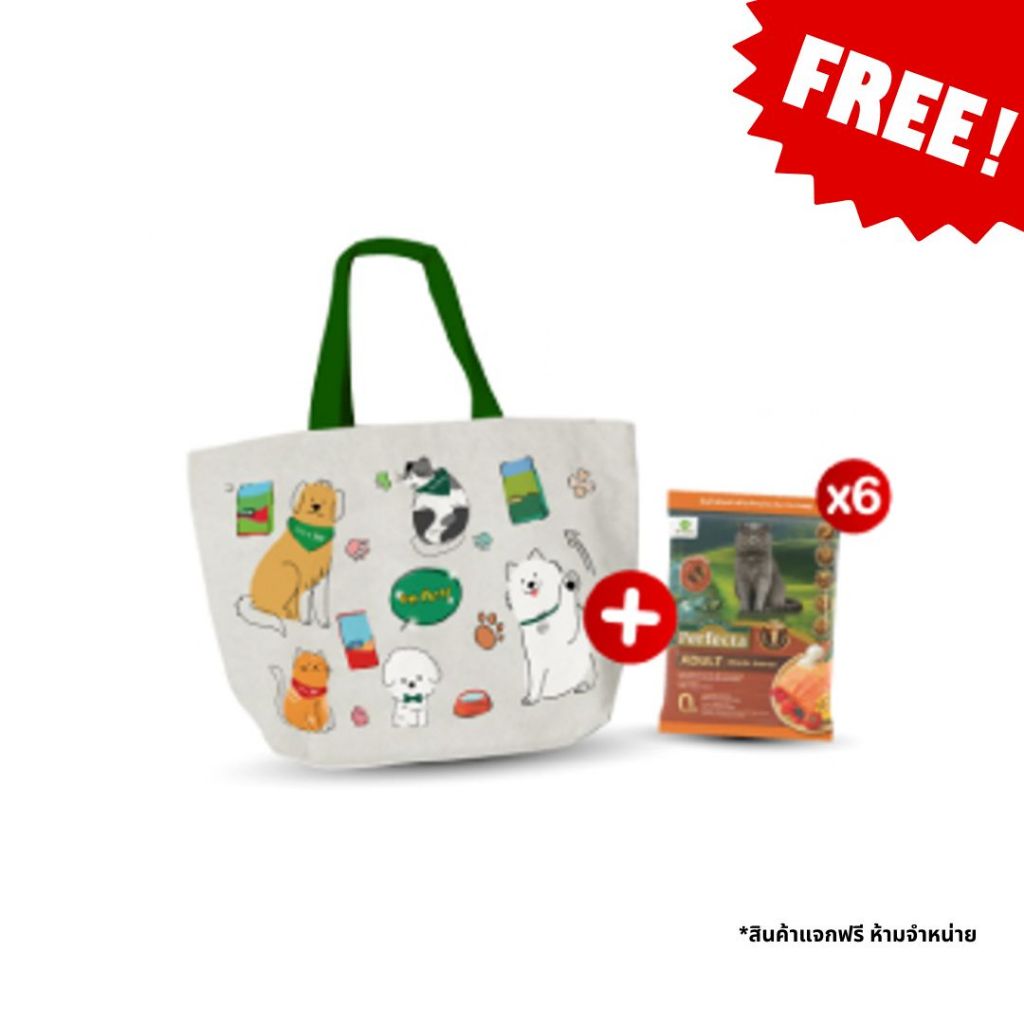 *สินค้าแถม ห้ามจำหน่าย* Freegift_Set กระเป๋าและอาหารแมวโต สูตรแซลมอน 50g x 6pcs