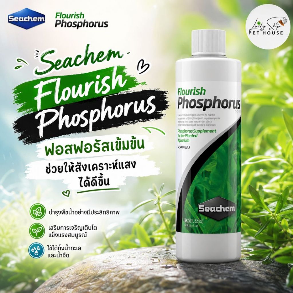 Seachem Flourish Phosphorus ฟอสฟอรัสเข้มข้น ช่วยให้สังเคราะห์แสงได้ดีขึ้น สำหรับน้ำทะเลและน้ำจืด