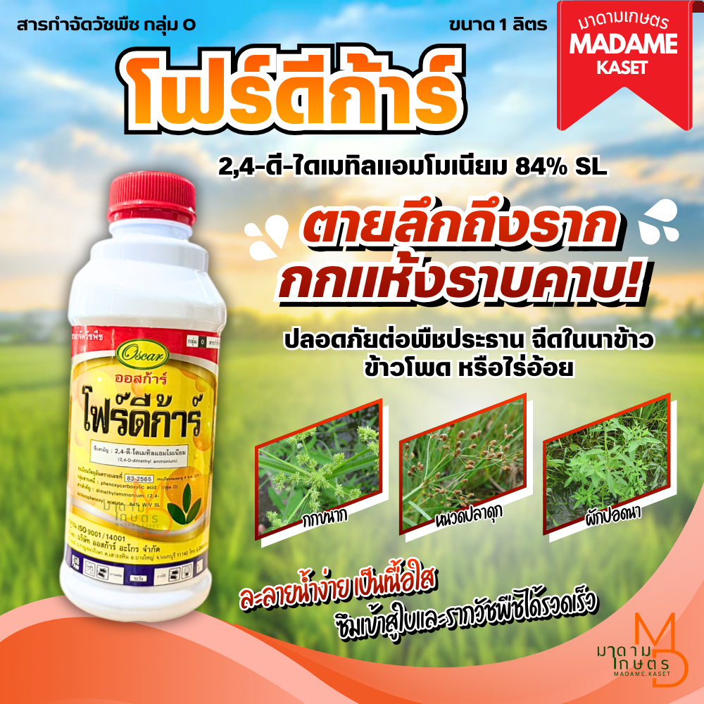 โฟร์ดีก้าร์ (2,4-D 84%) ยาฆ่ากกนา ฆ่าโสน ผักบุ้ง ในนาข้าว ข้าวโพด อ้อย ชนิดดูดซึม ตายลึกถึงรากถึงโคน ขนาด 1 ลิตร