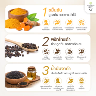 สุภาพโอสถ เทอร์เมอริค ขมิ้นชัน พริกไทยดำ น้ำมันงาดำ 30 แคป 1 กระปุก | กรดไหลย้อน กระเพาะอาหาร และ สุขภาพลำไส้