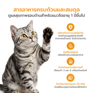 WHISKAS DRY CAT FOOD พ็อกเกต สูตรแมวโต 1.2 kg อาหารแมวชนิดแห้ง แบบเม็ด Petus Kingkaew
