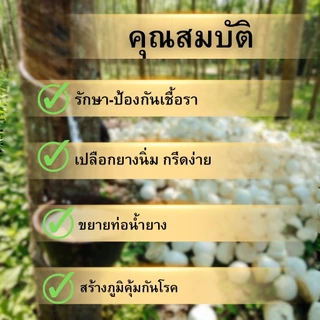 นาโนน วิน ทัช ฝาเขียว สูตรรักษาหน้ายาง 1000 ซีซี (แถมแปรงฟรีทุกออเดอร์)