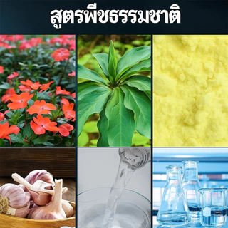 🐍ผงไล่งู 500g รุ่นอัปเกรด ผงกำมะถัน ป้องกันงูเข้าบ้าน ไล่งูและแมลงพิษ ไม่กลัวฝน ใช้งานกลางแจ้ง