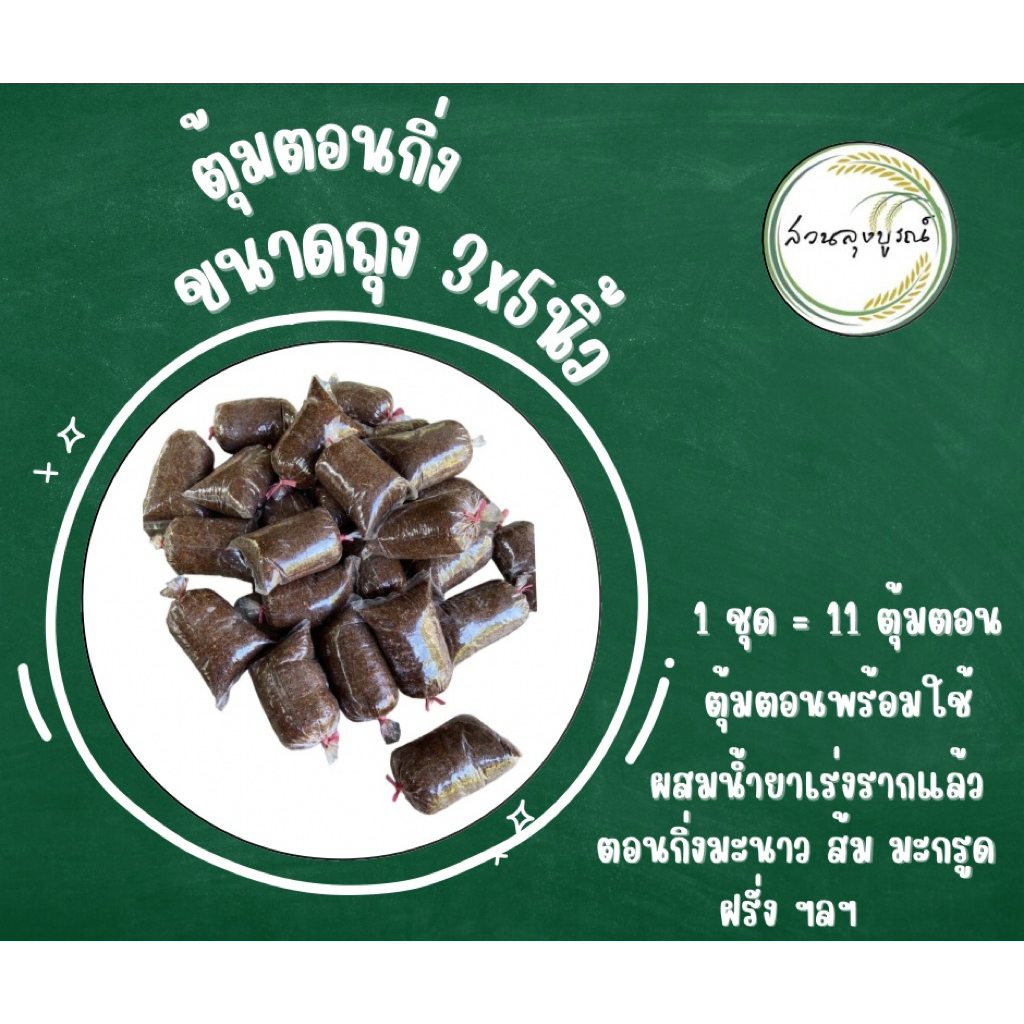 ตุ้มตอนกิ่ง (ขุยมะพร้าวผสมน้ำยาเร่งราก) 10 ฟรี 1