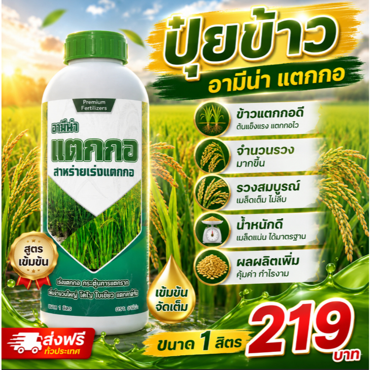 ปุ๋ยข้าว ข้าวแตกกอดี จำนวนรวงมากขึ้น รวงสมบูรณ์ น้ำหนักดี ผลผลิตเพิ่ม อามีน่าแตกกอ ขนาด1ลิตร