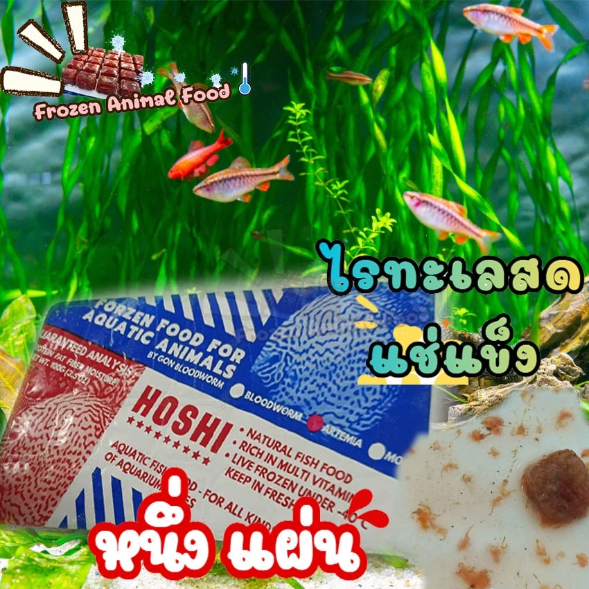 ส่งเร็ว ราคาพิเศษ 1 แพ็ค ไรแดงทะเลแช่แข็ง HOSHI แถมฟรี ถุงเก็บความเย็น เจลเย็น อาหารปลา อาหารสัตว์น้ำทุกชนิด