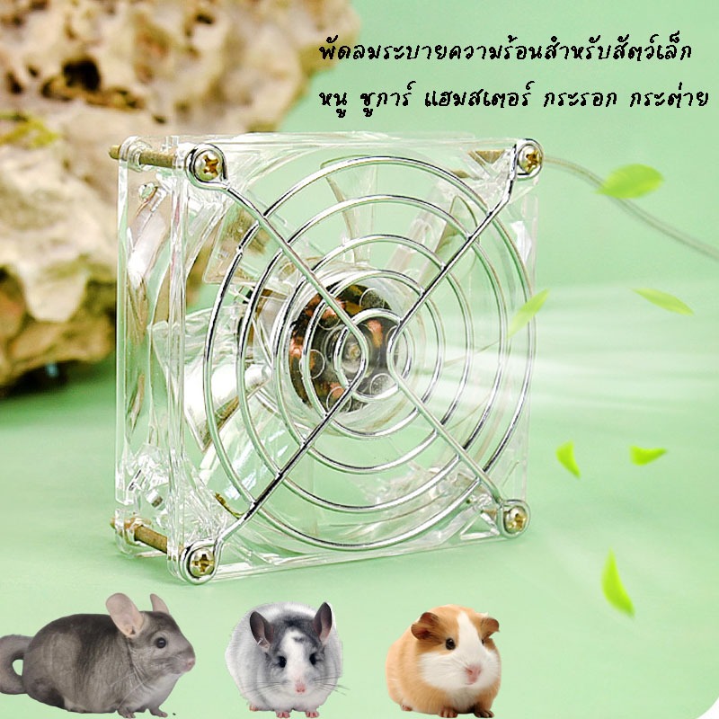 พัดลมระบายความร้อนสำหรับสัตว์เล็ก หนู ชูการ์ แฮมสเตอร์ กระรอก กระต่าย พัดลมusb พัดลมสัตว์