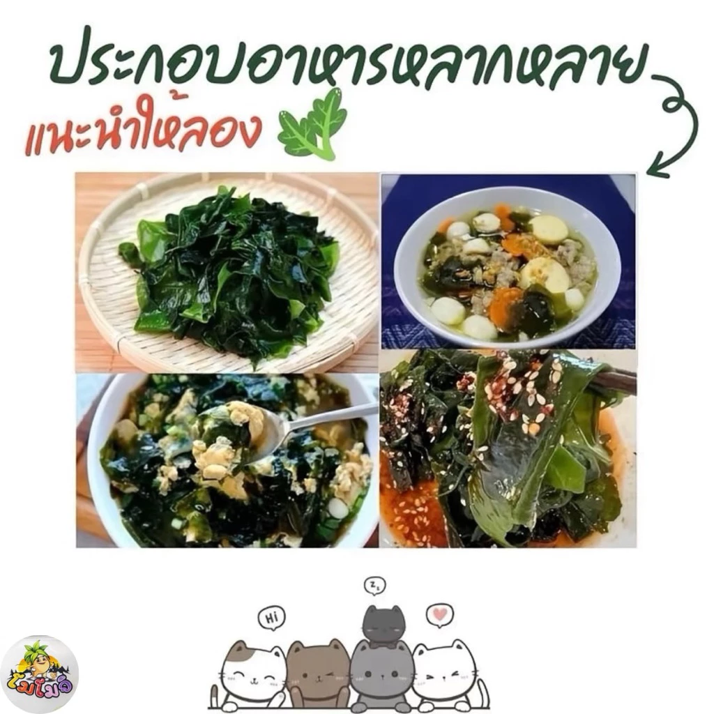 สาหร่ายวากาเมะขนาด100g สาหร่ายทะเลอบแห้งใชประกอบอาหาร สุกี้ ต้มจืด thumbnail 8