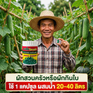 นาโนโปรพลัส นาโนพืช แร่ธาตุ อาหารหลักพืช 1 ขวด 100 เม็เ