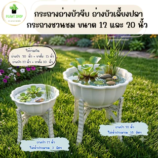 อ่างบัวจีบ อ่างบัวเลี้ยงปลา กระถางชวนชม พลาสติกอย่างดี ขนาด 12 และ 20 นิ้ว