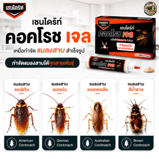(ของแท้ มี อย.) เชนไดร้ท์ คอคโรช เจล 30 G. | เหยื่อกำจัดแมลงสาบถึงรัง ใช้งานง่าย เห็นผลต่อเนื่อง