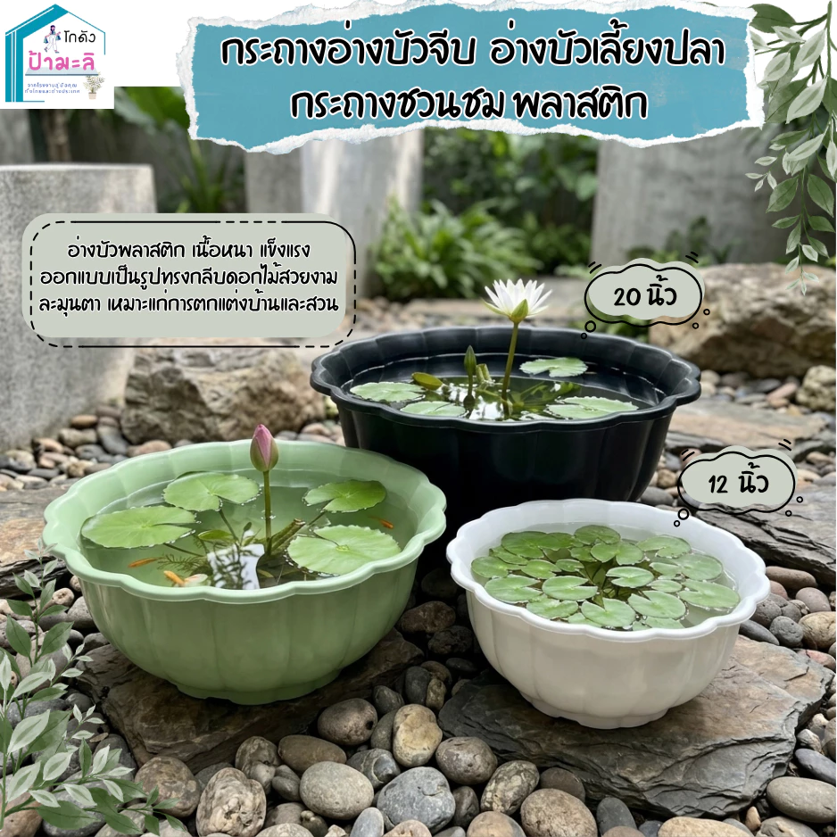 อ่างบัวจีบ อ่างบัวเลี้ยงปลา กระถางชวนชม พลาสติกอย่างดี ขนาด 12 และ 20 นิ้ว