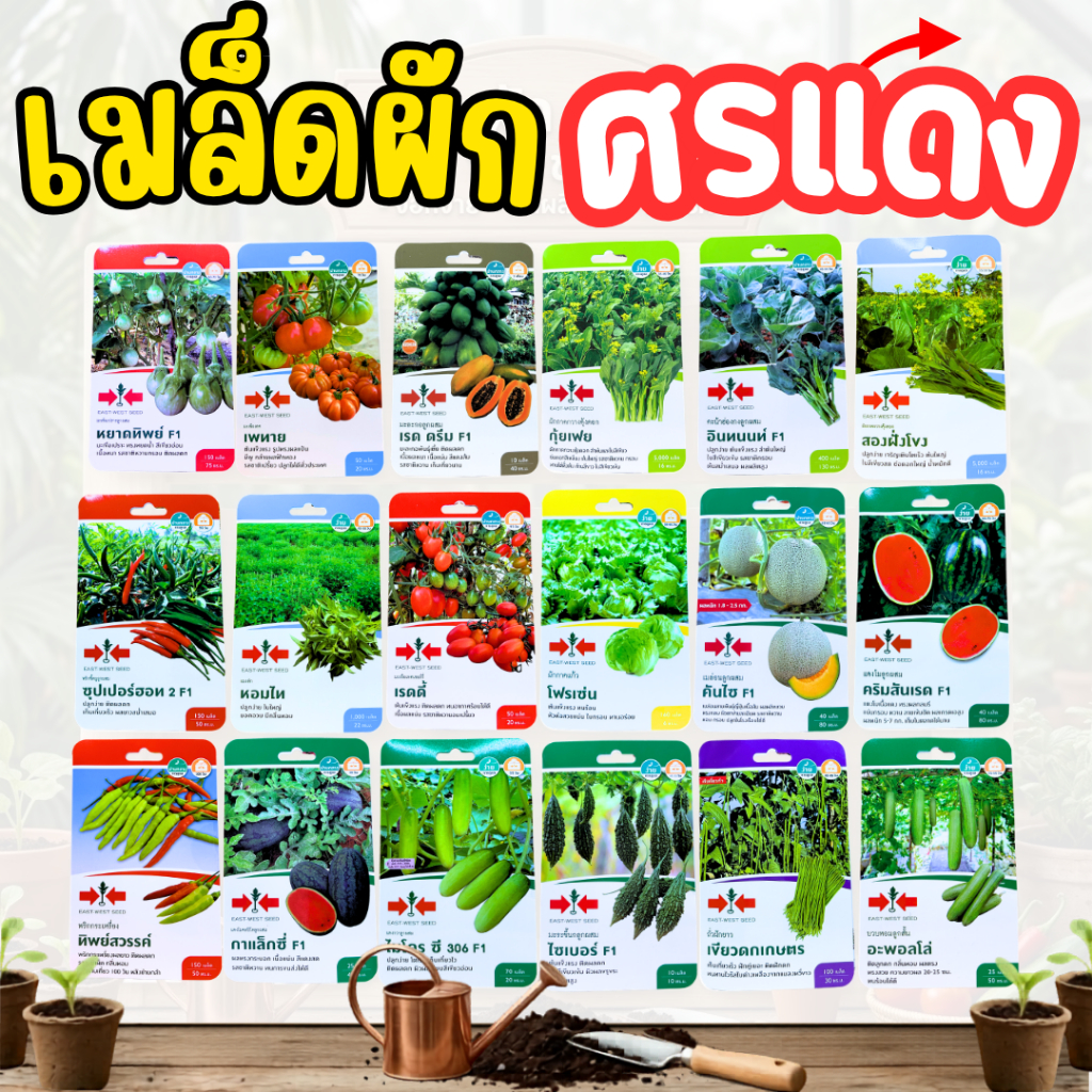 เมล็ดพันธุ์ผัก [ศรแดง] เมล็ดผักสลัด ผักชี เมล่อน คะน้า งอกง่าย ผลผลิตสูง ทนโรค มีวิธีปลูกให้ทุกซอง !