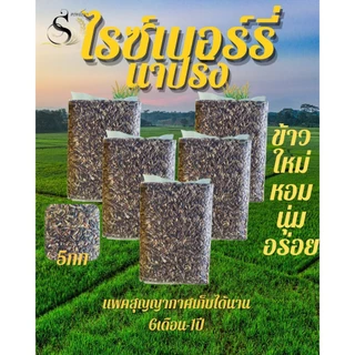 เกี่ยวใหม่ หอม นุ่ม ทานง่าย ข้าวไรซ์เบอร์รี่นาปรังแพคสุญญากาศ 5กิโลกรัม ตราทรัพย์ธนา