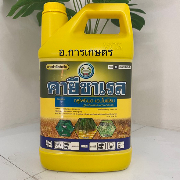 ใช้โค้ตพร้อมกันได้ คายีซาเรส กลูโฟซิเนต ขนาด 4ลิตร กำจัดหญ้า ใบแคบ ใบกว้าง ยาเผาไหม้ ตราหวีทอง