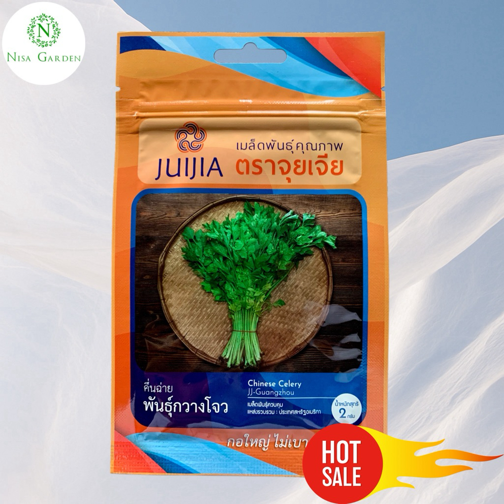 Nisa Garden เมล็ดพันธุ์ คื่นช่าย ขึ้นช่าย กอใหญ่ ไม่เบา กวางโจ