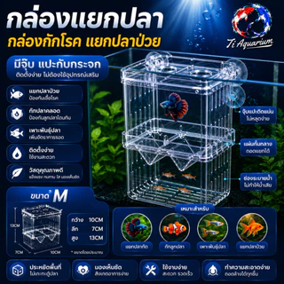 กล่องแยกปลา ติดกระจกด้านในตู้ปลา ด้วยจุ๊บยางใช้แยกปลาป่วย ปลาที่ต้องการดูแลเป็นพิเศษ