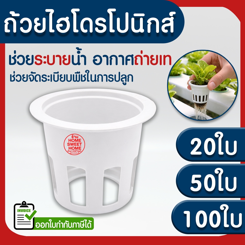 *โค้ดส่งฟรี* ถ้วยปลูกผัก 20/50/100ใบ ถ้วยขาวปลูกผัก ผไฮโดรโปนิกส์ ไฮโดร สลัด salad hydroponic hydro แบบใช้ซ้ำ clearance