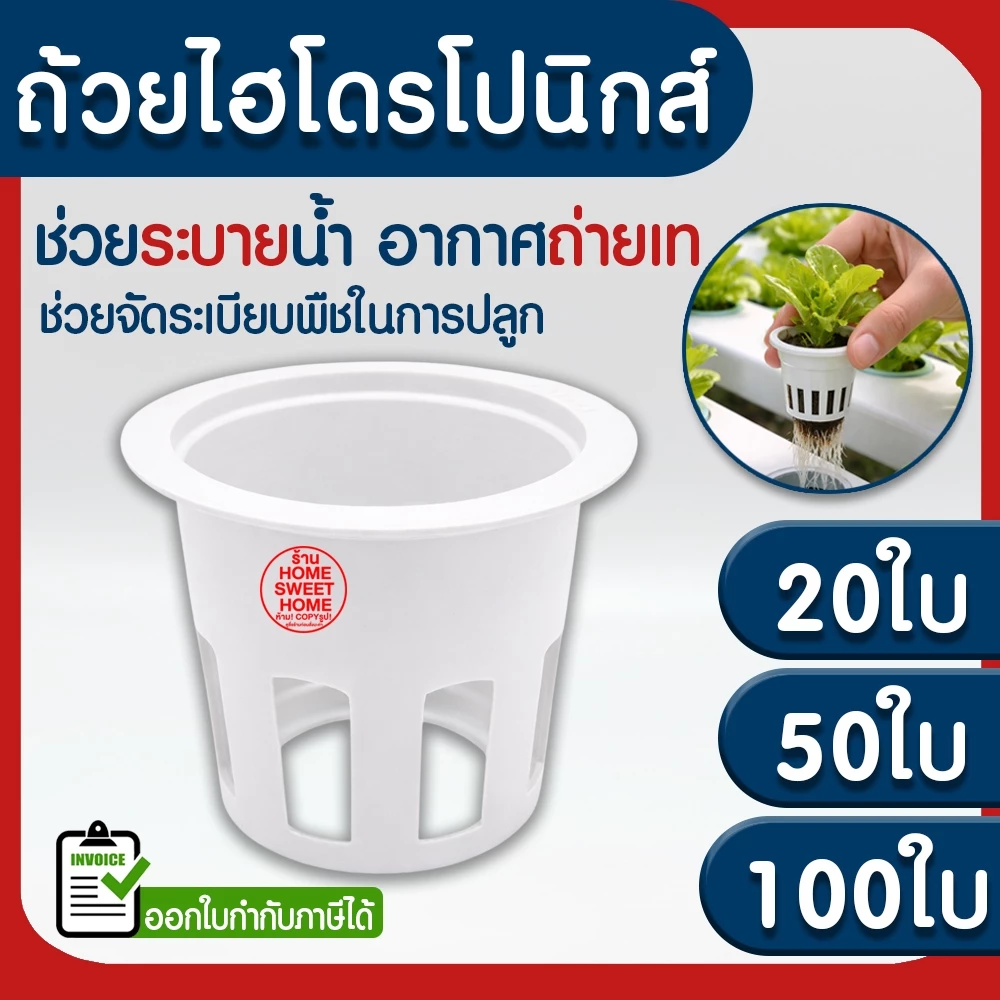 *โค้ดส่งฟรี* ถ้วยปลูกผัก 20/50/100ใบ ถ้วยขาวปลูกผัก ผไฮโดรโปนิกส์ ไฮโดร สลัด salad hydroponic hydro แบบใช้ซ้ำ MAXX