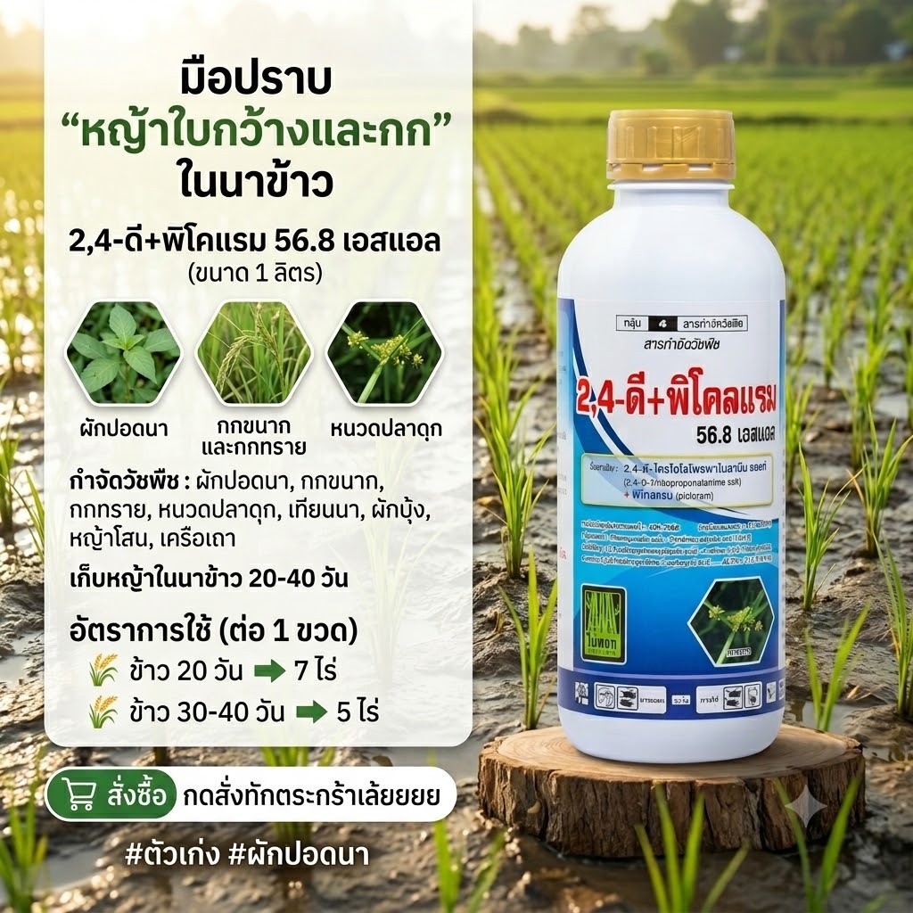 2,4-ดี ไตรโอโซโพรพาโนลามีน ซอลท์ + พิโคลแรม56.8เอสแอล  ขนาด 1 ลิตร เก่งวัชพืชใบกว้าง ผักปอด หญ้ากก โสน เครือเถา ผักบุ้ง