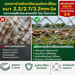 ลวดตาข่ายถัก Chain link Fence ชุบกัลวาไนซ์ กันสนิม ยาว10m(ลวด2.7/3.2mm) เหล็กชุบกัลวา แข็งแรง ล้อมรั้ว ล้อมสวน