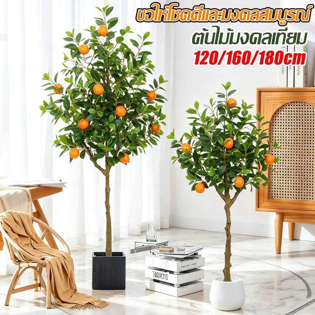 ความจำลอง99 เรียกทรัพย์สินและความโชคดี🍊 ต้นส้มมงคล ต้นไม้ปลอม ต้นไม้ปลอมใหญ่  120/150/180CM ก้านหนา ไม่ต้องบำรุงรักษา