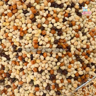 อาหารนกเขาเล็ก มิลเล็ตรวม 5 สี ปริมาณ 1kg.