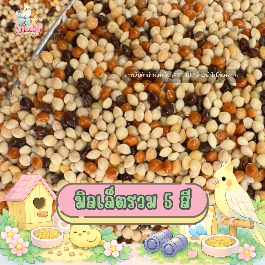อาหารนกเขาเล็ก มิลเล็ตรวม 5 สี ปริมาณ 1kg.