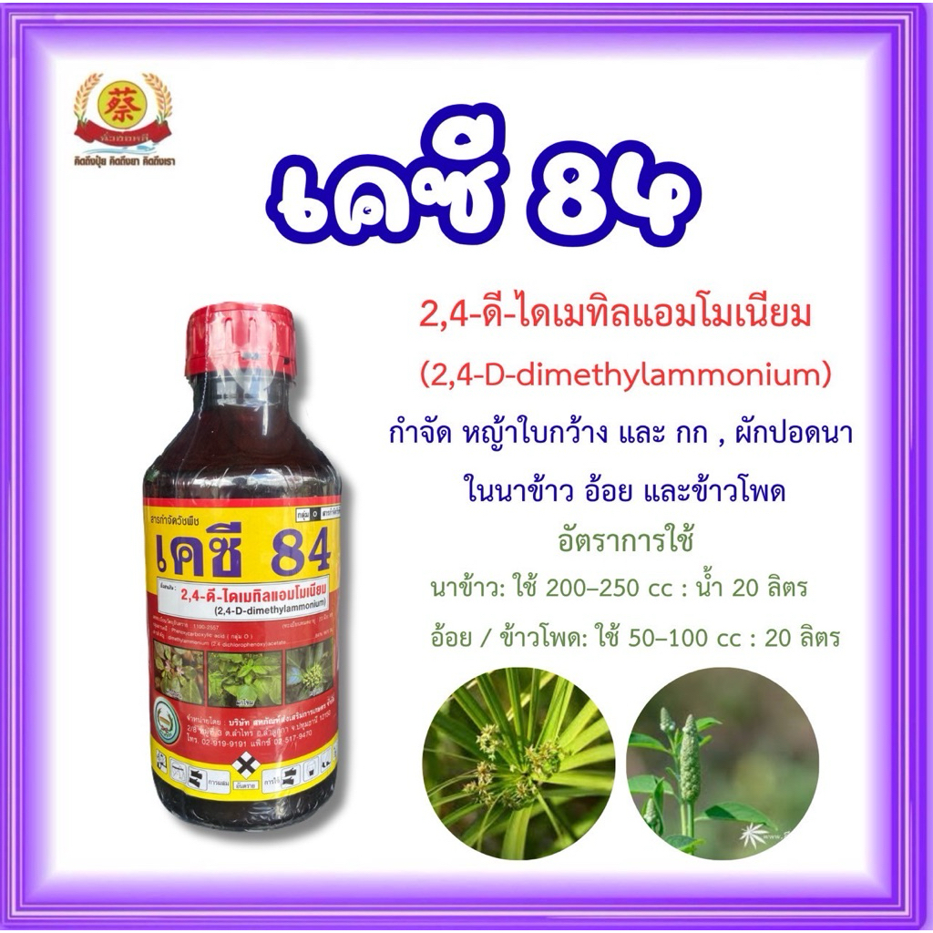 เคซี84 (2-4D) กำจัดวัชพืชใบกว้าง ผักบุ้ง เครือ หวีทอง