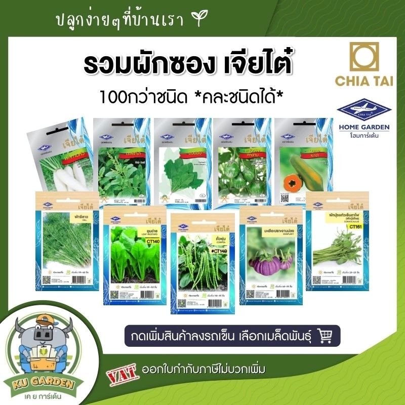 CHIATAI 🇹🇭 รวมผักเจียไต๋ ผักซอง เจียไต๋ 100กว่าชนิด *คละชนิดได้ เพียงกดเพิ่มชนิดลงรถเข็น* เมล็ดพันธุ์ เมล็ดผัก กะเพรา
