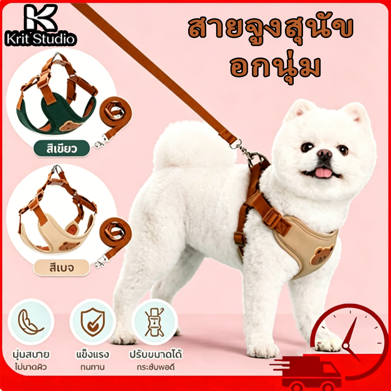 สายจูง+อกนุ่มสำหรับสุนัขและแมว ไม่รัดคอ ปรับขนาดได้ ดีไซน์หมีน่ารัก ชุดสายจูง ใส่สบายทั้งแมวและสุนัข