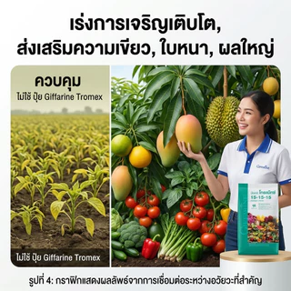 กิฟฟารีน ปุ๋ยเกล็ดโกรแม็กซ์ 15-15-15 ปุ๋ยสูตรเสมอ บำรุงทุกส่วน ต้น ใบ ดอก ผล เร่งโต เร่งเขียว