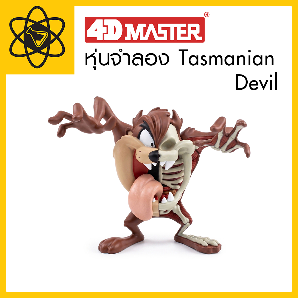 4D Vision หุ่นจำลอง Tasmanian Devil 4 มิติ | XXRAY - TASMANIAN DEVIL